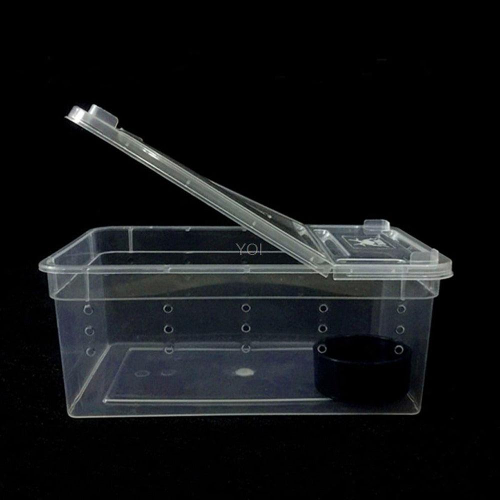 Transparent Reptile Haven: The Perfect Enclosure For Your Cold-Blooded Companions