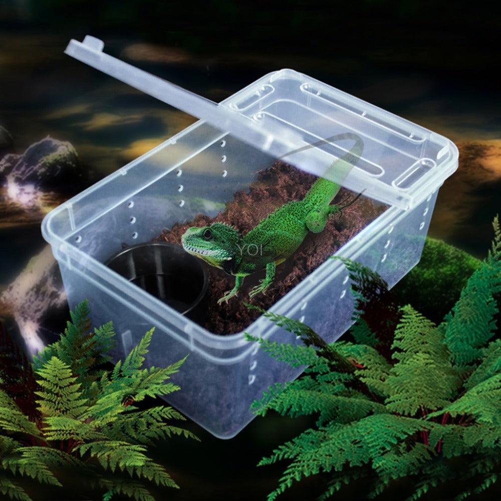 Transparent Reptile Haven: The Perfect Enclosure For Your Cold-Blooded Companions