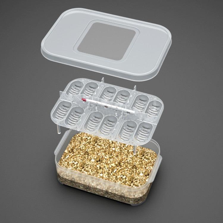 Gecko Egg Incubator: The Perfect Home For Reptile Eggs