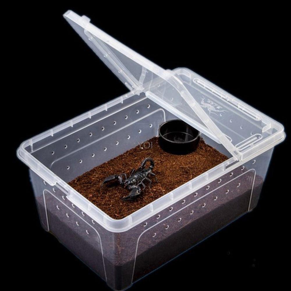 Transparent Reptile Haven: The Perfect Enclosure For Your Cold-Blooded Companions