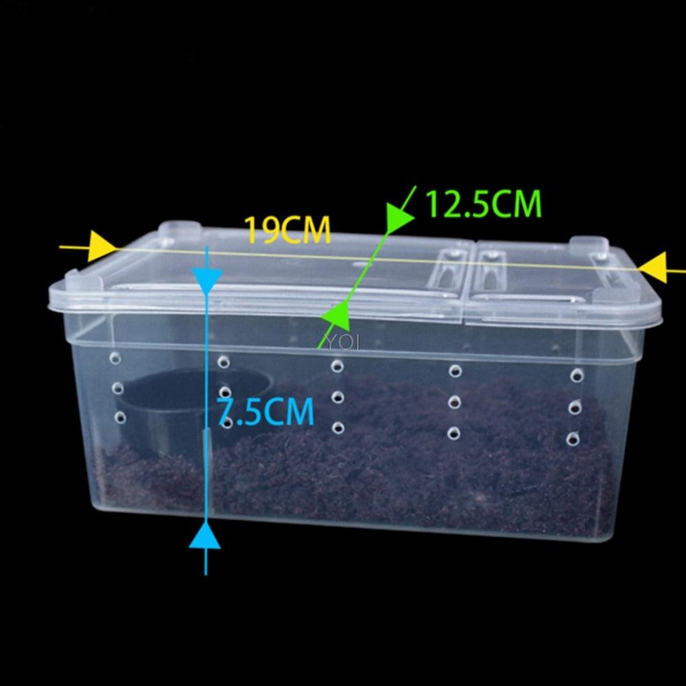 Transparent Reptile Haven: The Perfect Enclosure For Your Cold-Blooded Companions
