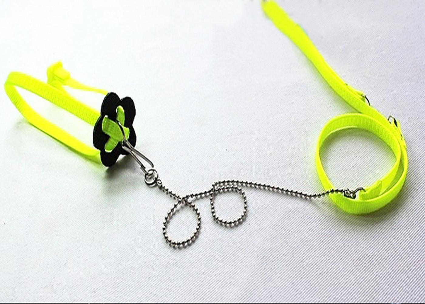 Adjustable Outdoor Lizard Leash - Stylish And Durable Pet Walking Rope