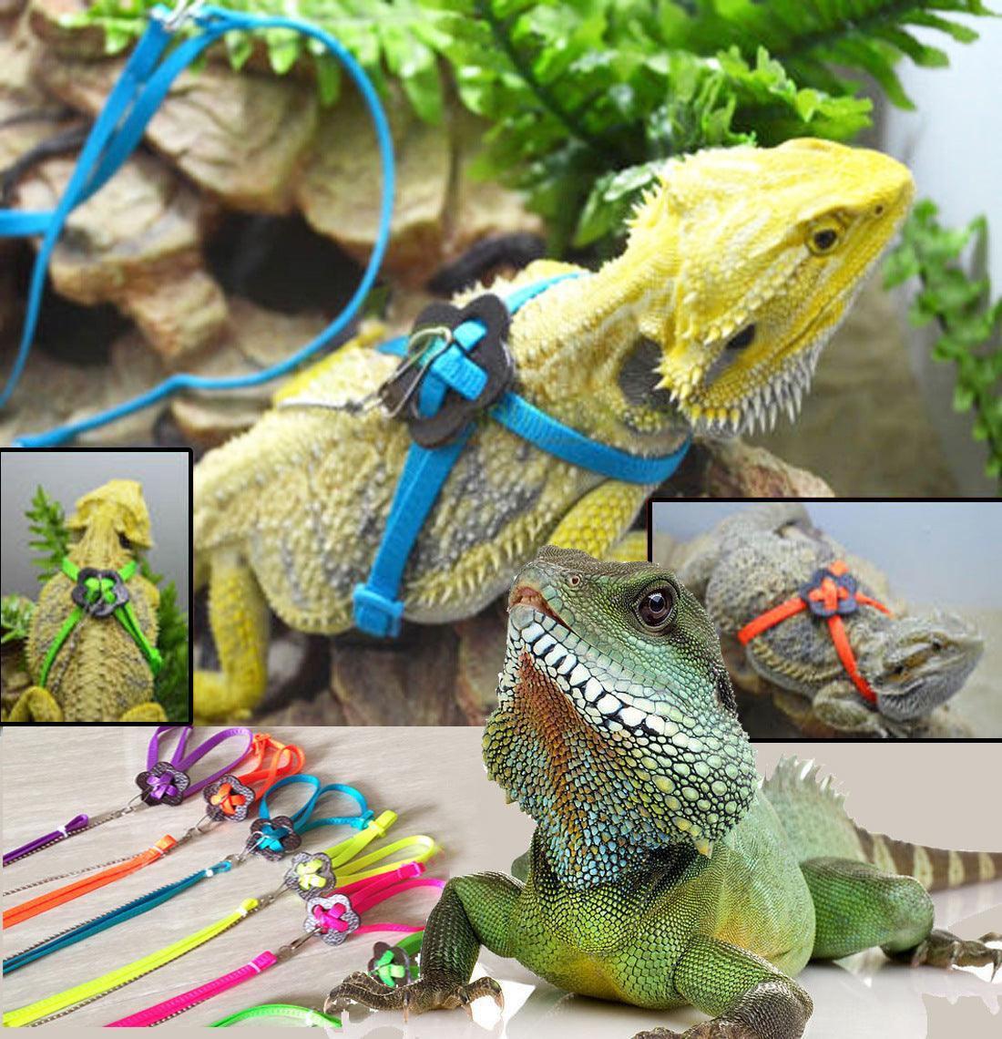Adjustable Outdoor Lizard Leash - Stylish And Durable Pet Walking Rope