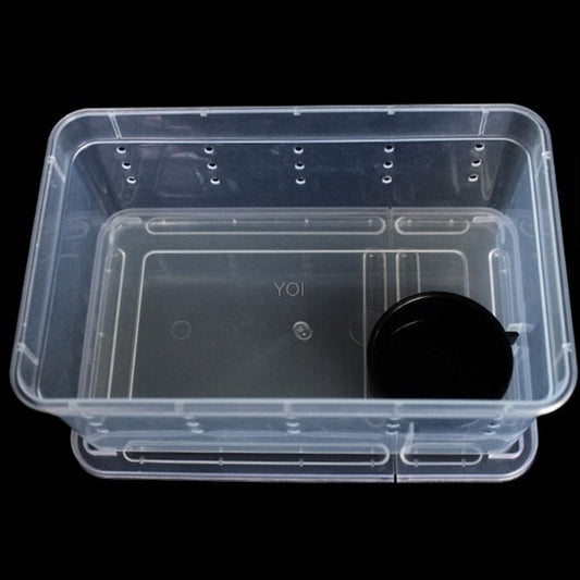 Transparent Reptile Haven: The Perfect Enclosure For Your Cold-Blooded Companions